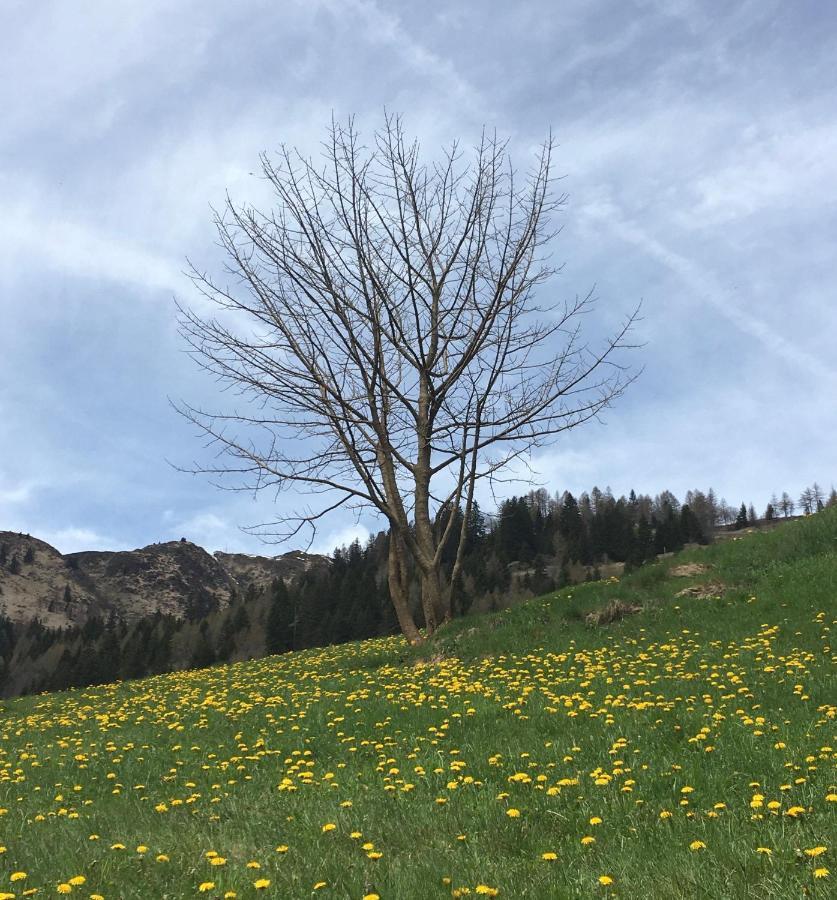 B&B Gottardo アイロロ エクステリア 写真
