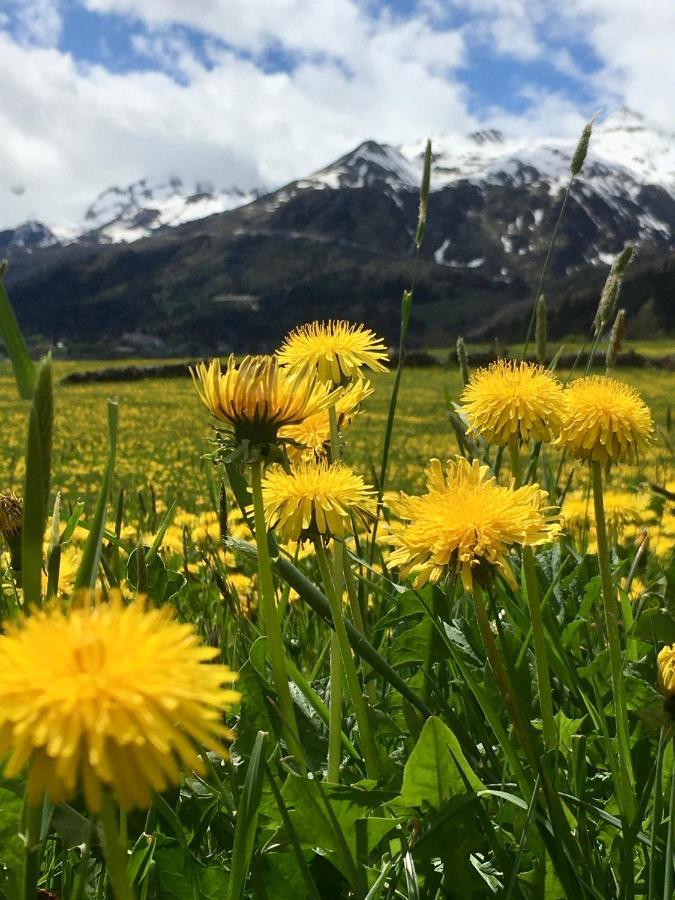 B&B Gottardo アイロロ エクステリア 写真